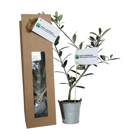 Plant d'arbre dans un sac kraft publicitaire