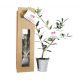 Plant d'arbre dans un sac kraft publicitaire