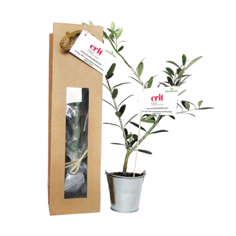 Plant d'arbre dans un sac kraft publicitaire