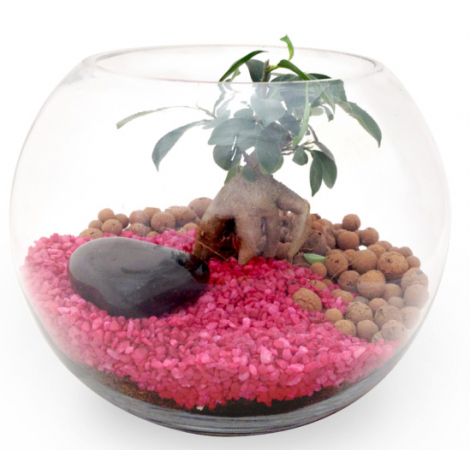 Terrarium publicitaire