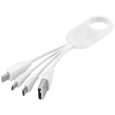 Câble USB publicitaire multi ports type C 4 en 1