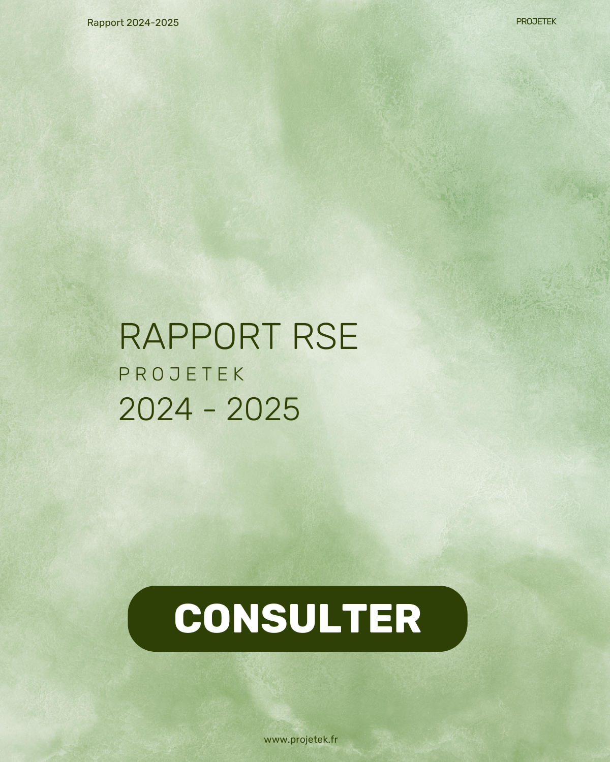 Rapport RSE Projetek